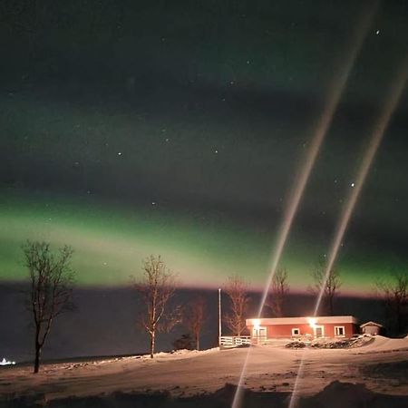 Hoefthi Cottages Dalvík Exterior foto
